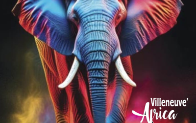 Villeneuve’Africa 2024 : c’est parti !